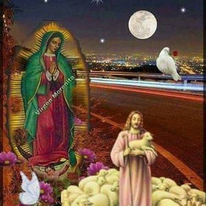 Meet your Posher, Roberto